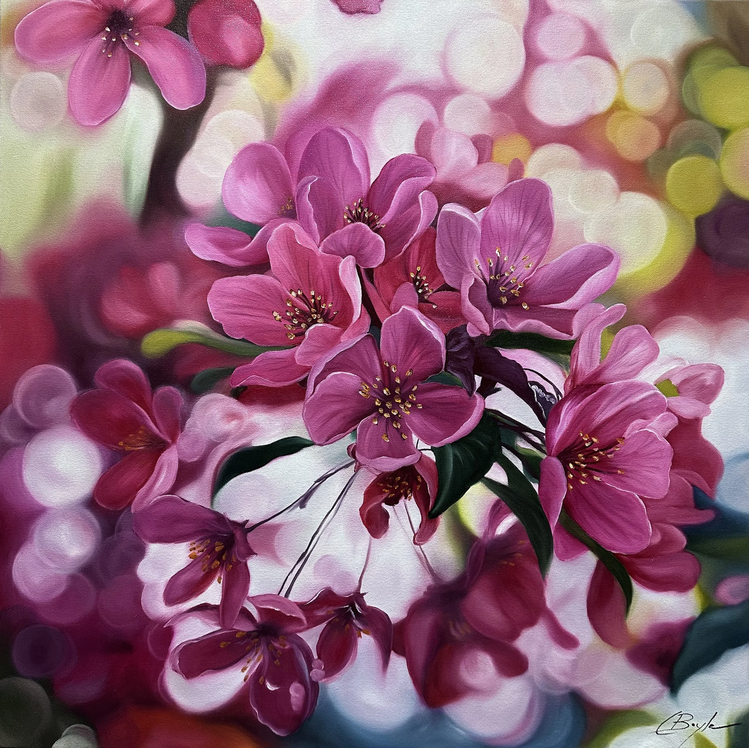 Floral Paintings in oil — Charmaine Boyle